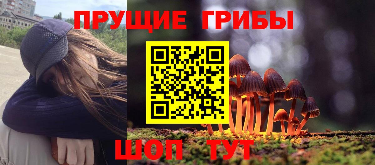 Псилоцибиновые грибы GOLDEN TEACHER Жигулёвск